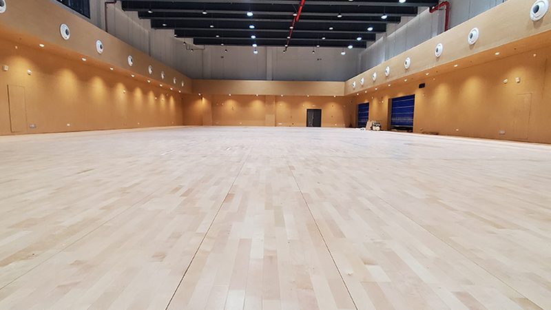 生态板与颗粒板：环保之选的深度解析